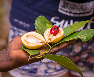 Cuisine Tanzanienne