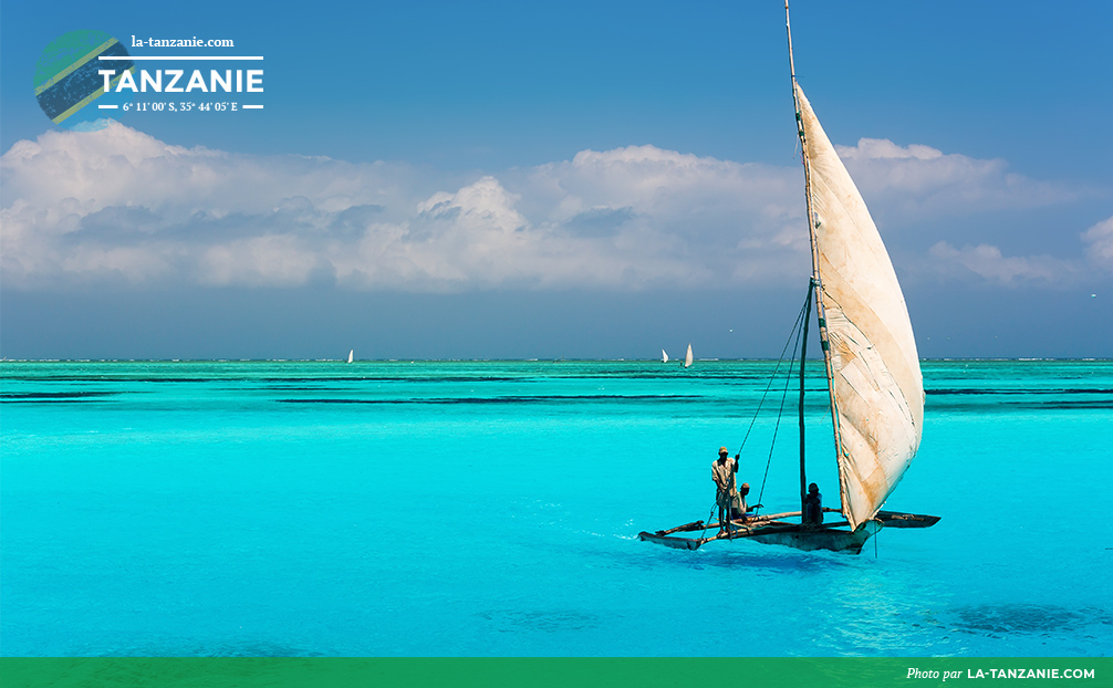 Catamaran dans l'océan Indien