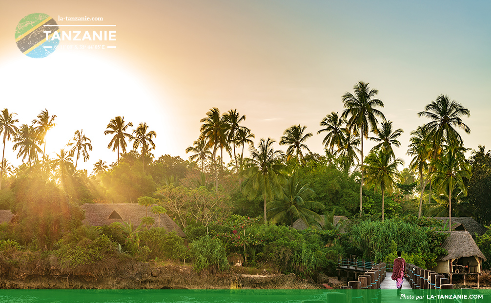 Île de Zanzibar en Afrique de l'Est