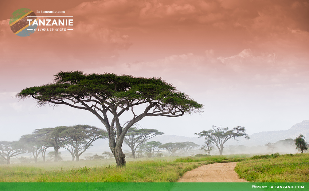 Parc national du Serengeti