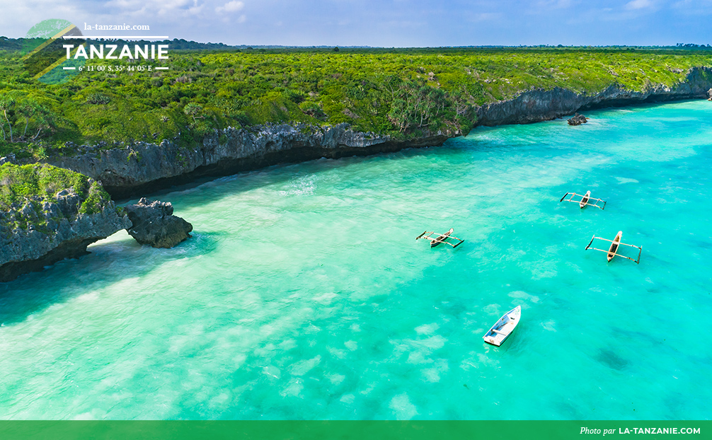 Paysage du Zanzibar