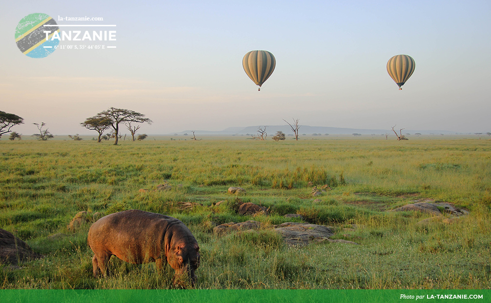 Serengeti