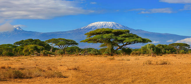 Kilimandjaro Kilimandjaro